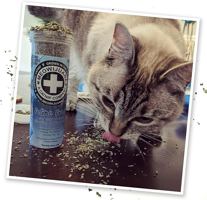 Meowijuana | Feline Frost Catnip Holiday Blend | Premium Organic Catnip | Grown in North America | Perfect for Cat Toys | Fresh Catnip for Extended Playtime