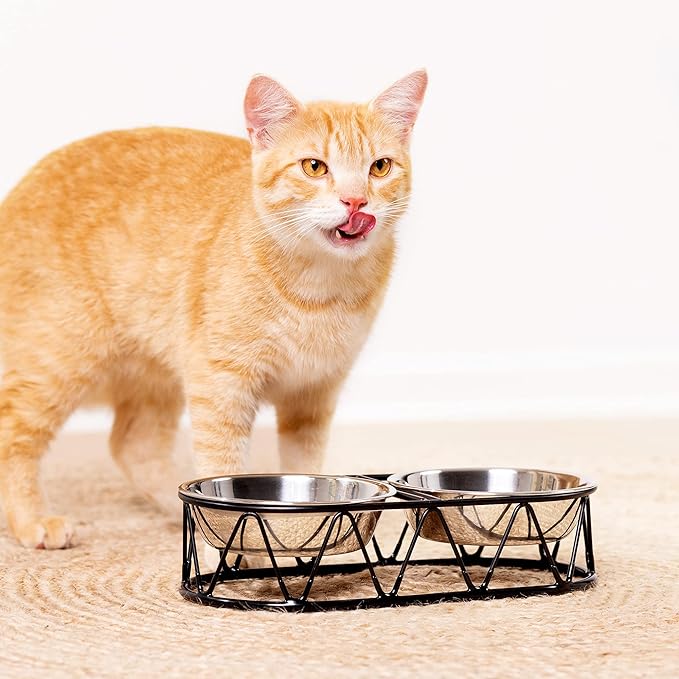 Navaris Stainless Steel Dog Bowls - Cat Food Bowls with Stand - Elevated Double Bowl and Holder for Cats & Small Dogs Raised Metal Wire Stand - Black
