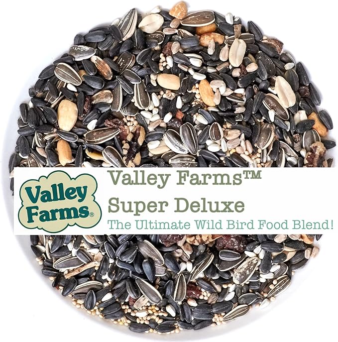 Valley Farms Bird Lover Bundles- Premium Wild Bird Food Gift Packs (4 Pack)