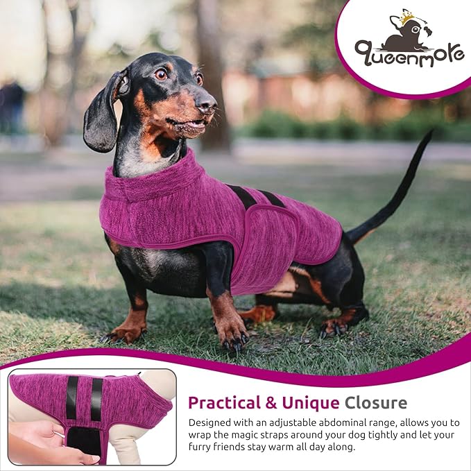 Queenmore Small Dog Sweaters, Soft Fleece Vest Pullover Dog Jacket with Leash Hole, Warm Winter Dogs Clothes Cold Weather Doggy Dachshund Sweater for Small Dogs Cats Boy or Girl (Cationic Berry, XS)