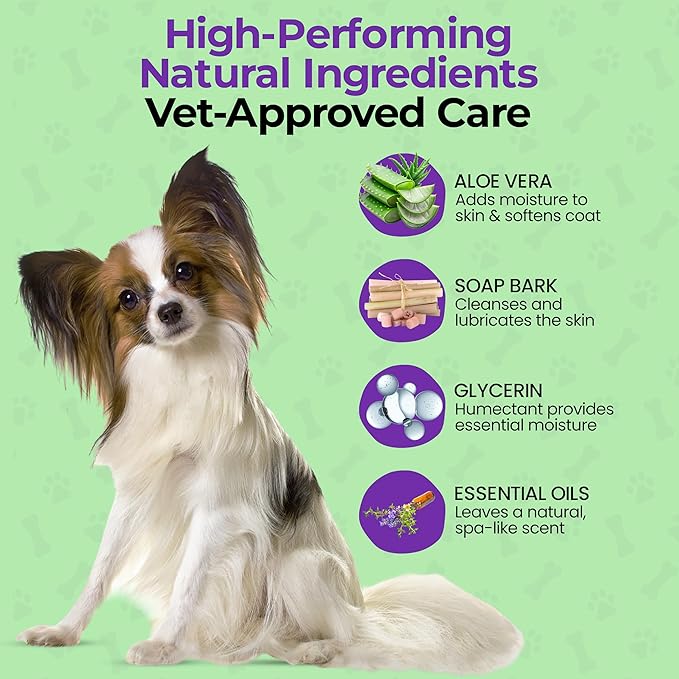 Luxury Daily Dog Deodorant & Grooming Spray – Long-Lasting, Odor Eliminating Pet Deodorizer Spray for Dogs’ Coat & Skin – Gentle & Clean, Irresistible Fresh Spa Scent 5.07 Fl oz.