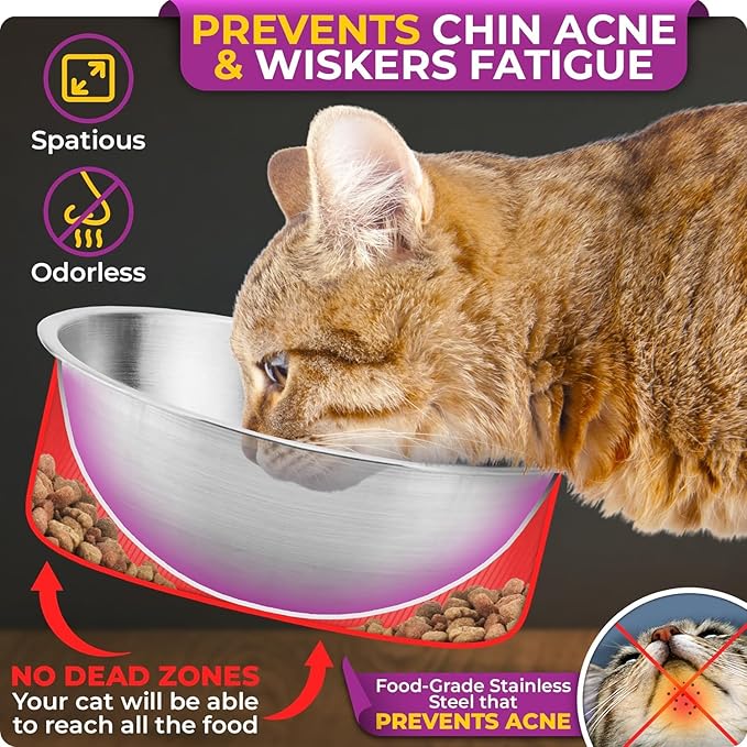 Raised cat Bowls for Indoor Cats by WinTruffles, Elevated cat Bowls, Tilted and Elevated Anti Vomiting Cat Dishes for Food and Water, Set of 2 Stainless Steel Bowl