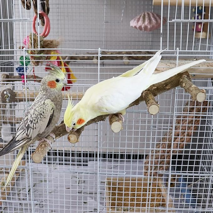 15.7 Inch Large Bird Perch Stand, Natural Wood Parrot Climbing Ladder Toys, Bird Cage Accessories, Suitable for Small to Medium Sized Birds Parakeets Cockatiels Budgies Lovebirds