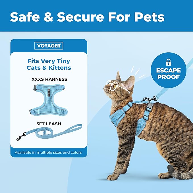 Voyager Escape Proof Cat Harness and Leash Set with Reflective Stitching, Neoprene Handle 5ft - Supports Small, Medium and Large Cats, Kittens for Walking by Best Pet Supplies - Baby Blue, XXXS