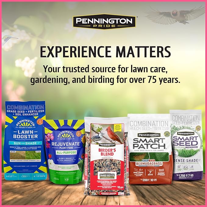 Pennington 100543828 ElectroNectar Hummingbird Food Ready to Use, Clear