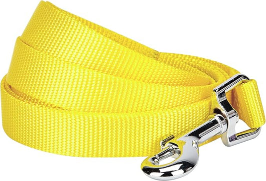 Blueberry Pet Essentials Blazing Yellow Dog Leash for Large - 4' * 1" Dogs | Heavy Duty Nylon Lead | Lightweight Puppy & Cat Leash for Walking & Training