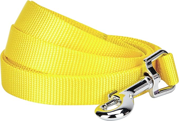 Blueberry Pet Essentials Blazing Yellow Dog Leash for X-Small -5' * 3/8" Dogs | Heavy Duty Nylon Lead | Lightweight Puppy & Cat Leash for Walking & Training