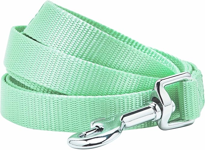 Blueberry Pet Essentials Pastel Green Dog Leash for Medium - 5' * 3/4" Dogs | Heavy Duty Nylon Lead | Lightweight Puppy & Cat Leash for Walking & Training