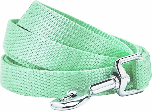 Blueberry Pet Essentials Pastel Green Dog Leash for Medium - 5' * 3/4" Dogs | Heavy Duty Nylon Lead | Lightweight Puppy & Cat Leash for Walking & Training