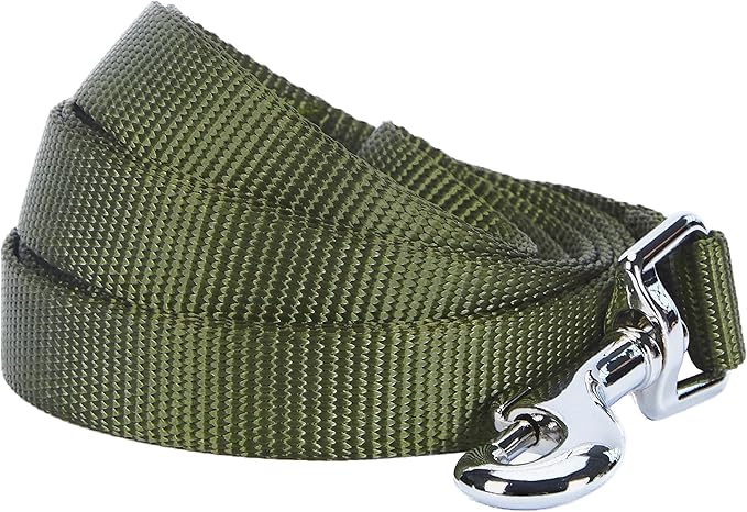 Blueberry Pet Essentials Military Green Dog Leash for X-Small -5' * 3/8" Dogs | Heavy Duty Nylon Lead | Lightweight Puppy & Cat Leash for Walking & Training