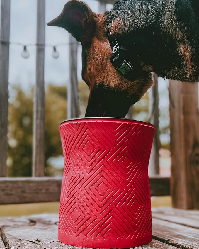 Pet Junkie Santa Fe Single Elevated Dog Bowl Stand with Removable Stainless Steel 44oz Inner Bowl for Medium to Large Breed - Raised Dog Food or Water Station (Large, Coral Pink)