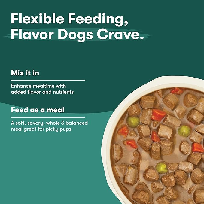 Jinx Bone Broth Stew for Dogs - Salmon & Vegetables Recipe - Grain-Free Wet Dog Food & Topper for Picky Eaters - Promotes Lean Muscle Growth, A Healthy Coat & Improved Digestion - 13 Oz, 12 Pack