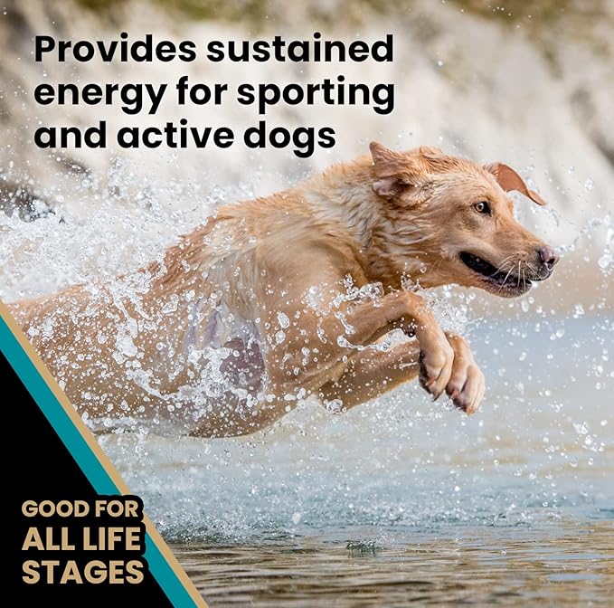 VICTOR Super Premium Dog Food – Hi-Pro Plus Dry Kibble – High Protein Dog Food with 30% Protein – Beef, Chicken, Pork, Fish Meals, Gluten Free - for High Energy and Active Dogs & Puppies, 15lbs