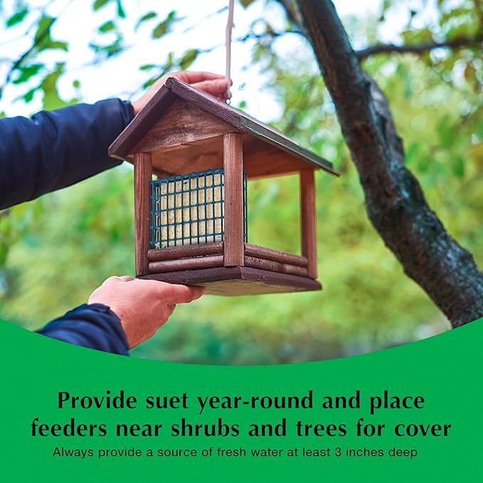 C&S Sunflower Suet Nuggets, Wild Birds Food For Woodpeckers, Chickadees, Nuthatches, and More, 8 Pounds