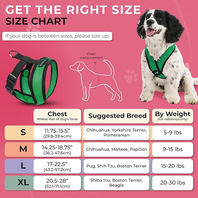 Gooby Comfort X Head in Harness - Hunter Green, Large - No Pull Small Dog Harness Patented Choke-Free X Frame - On The Go Dog Harness for Medium Dogs No Pull or Small Dogs for Indoor and Outdoor Use