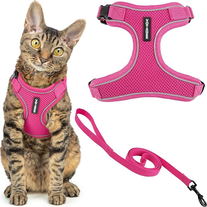 Voyager Escape Proof Cat Harness and Leash Set with Reflective Stitching, Neoprene Handle 5ft - Supports Small, Medium and Large Cats, Kittens for Walking by Best Pet Supplies - Fuchsia, XXS
