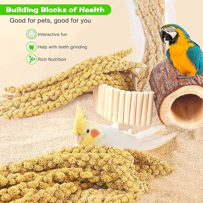 Millet for Birds 2.4LB, Natural Sun-Dried Millet Spray for Birds Seed No Stems Only Edible Tops for Parakeet, Budgies, Finches, Cockatiels, Parrots, Lovebird, Hamster and Other Pet Birds Bird Treat