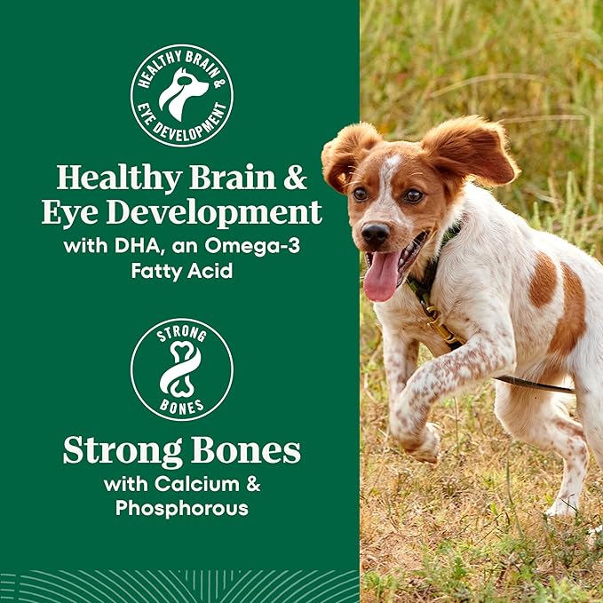 Nutro Natural Choice Lamb & Brown Rice Large Breed Puppy Food Dry Recipe, 30 lb. Bag