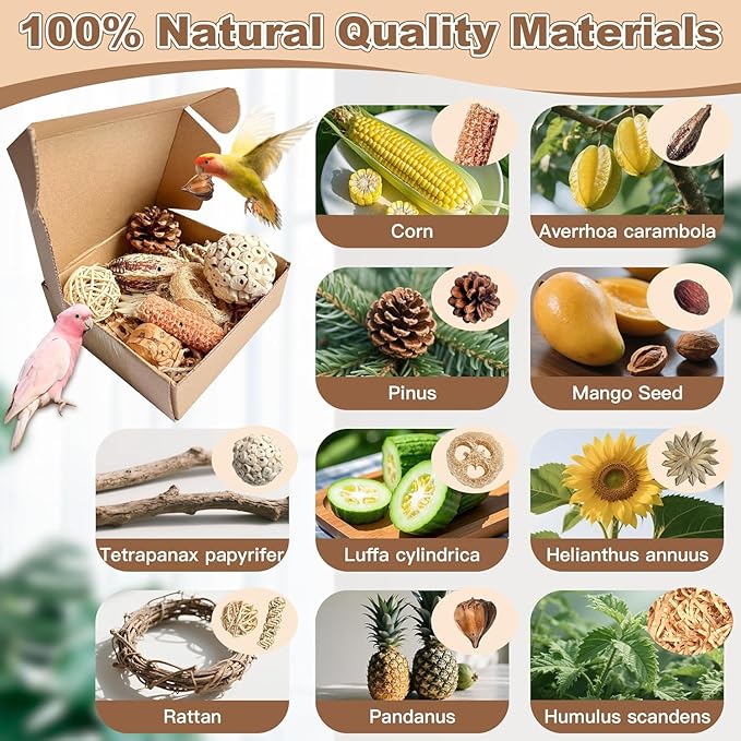 2 in 1 Parrot Toys, Tyotrbs Parakeet Foraging Box DIY Hanging String with Comes with 2 Hooks Bird Toy for Parakeets,Cockatiels,Conures,Love Birds Cage Accessories for Small to Medium Birds