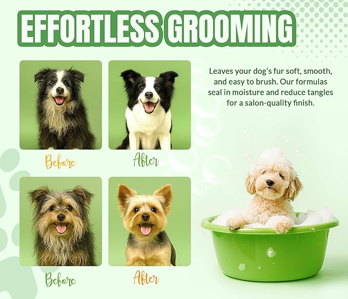 Fresh & Clean Dog Shampoo and Conditioner Set - Deodorizing Odor Control Wash with Lavender & Rosemary - Deep Cleansing Moisturizing Formula for Smelly Dogs -16 fl oz Each by Alfie’S Choice