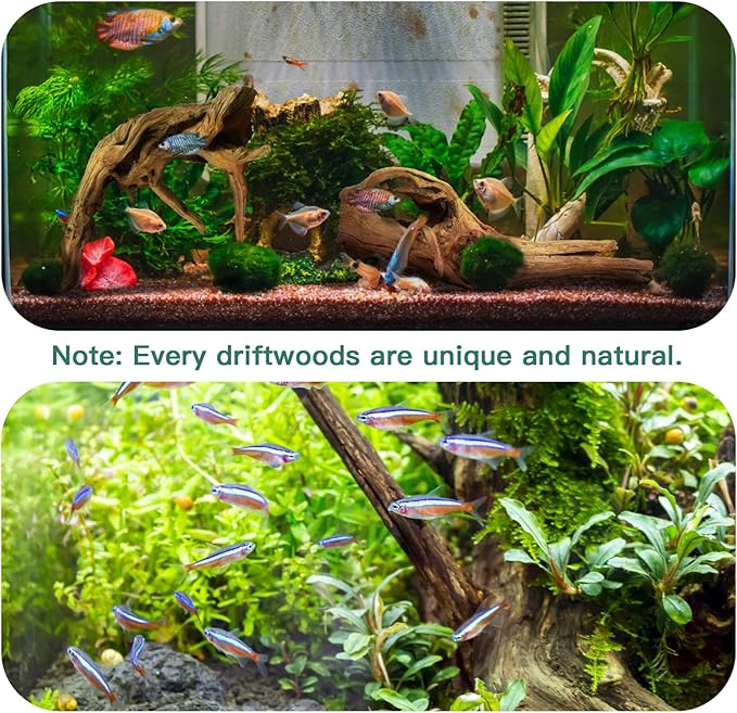 LYPHARD AQUARIUMS Driftwood for Aquarium, 2 Pieces 14-18 Inches Large Natural Drift Wood Fish Tank Assorted Branch Decorations for Reptile Hide