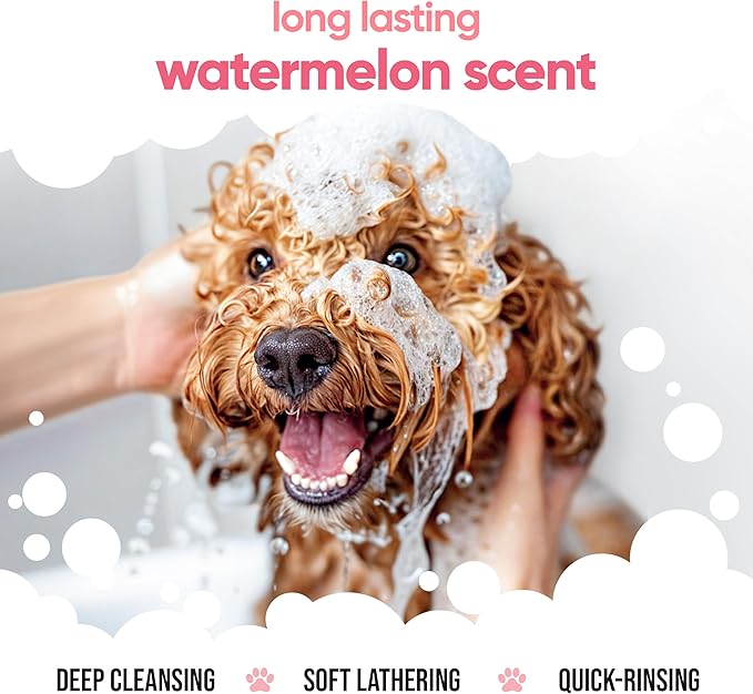 Watermelon Dog Shampoo by Buddycare | Dry Skin & Itchy Skin Relief for Smelly Dogs | Deep Cleansing Shampoo for Dogs Puppy Sensitive Skin | Dog Shampoo & Conditioner | with Aloe & Vitamin B5 (16.90oz)