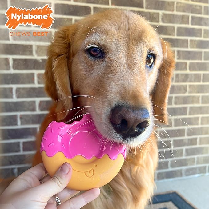 Nylabone Donut Power Chew Toy for Dogs, Dog Toys for Aggressive Chewers, Bacon Glazed Flavor, Large Dogs - Up to 50 lbs, 1 Count