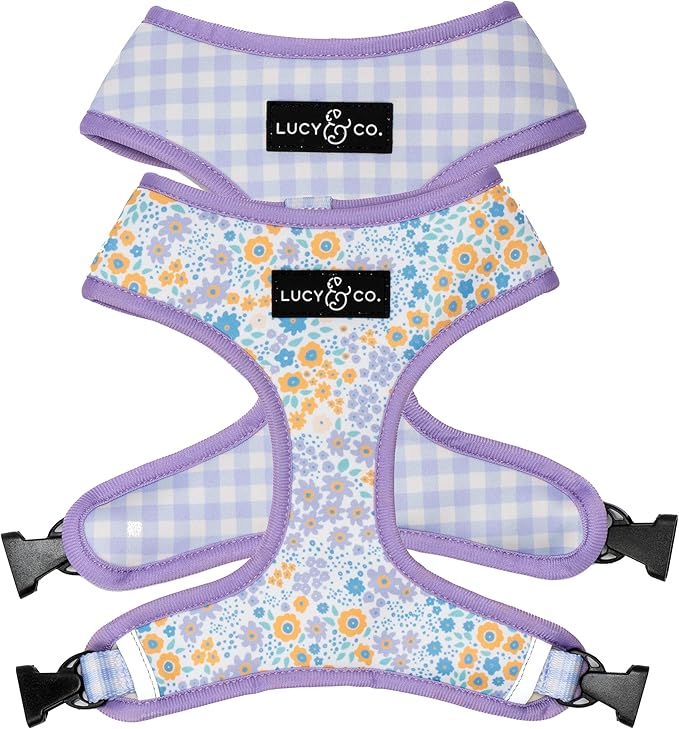 Lucy & Co. Cute Reversible Dog Harness Walking Halter - Best Designer Pet Harnesses for XS - XL Dogs - Padded Adjustable Vest for Easy Walking (Small, Among The Wildflowers - Purple Floral)