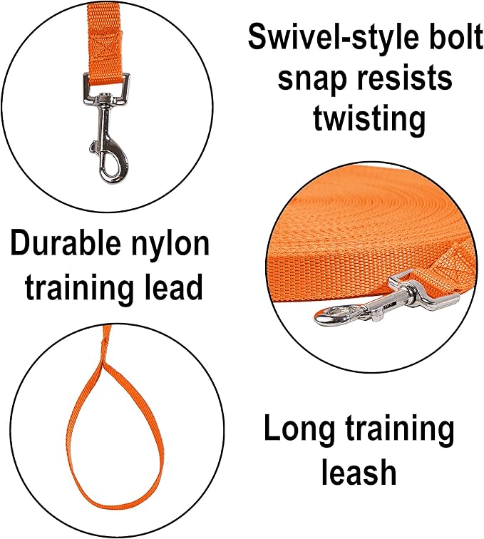 Hi Kiss Dog/Puppy Obedience Recall Training Agility Lead - 15ft 20ft 30ft 50ft 100ft Training Leash - Great for Training, Play, Camping, or Backyard - Orange 100ft