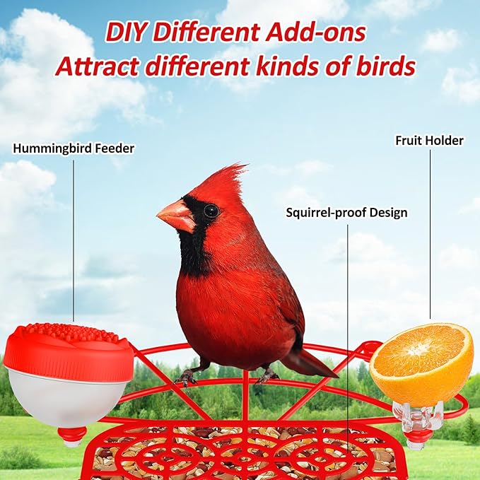 Bird Feeder with Camera, 2K Birds Camera with 3-in-1 Feeding, Drinking, and Bathing | AI Identify, Real-Time Monitoring and Alerts | IP65 and Squirrel-Proof for Outdoors, Gift for Bird Lovers