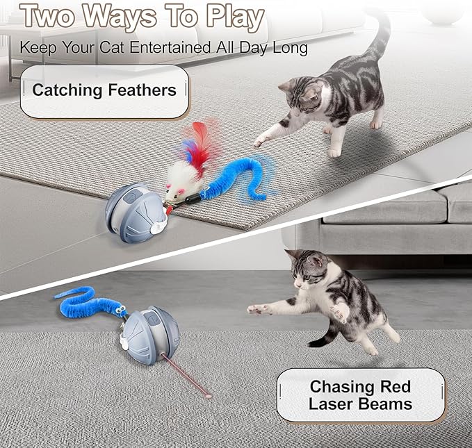 Interactive Cat Toy Ball - 2-in-1 Indoor Cat Toy with Feather Attachment and Laser Interactive Cats Balls, Moving Electric Rolling Ball Toys Designed for Bored Kittens and Adult Cats