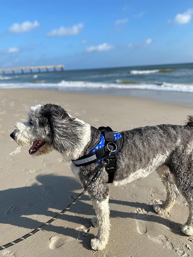 ShawnCo Essential Dog Harness, No-Pull Pet Vest with 3 Leash Clips, No Choke, Reflective, Adjustable and Padded, for Easy Walking and Training for Small, Medium and Large Dogs (White Sharks, M)