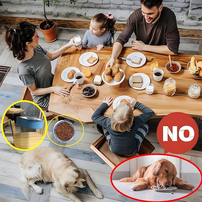 Jacknthe-Healthy and Practical, pet Breed and Growth Adjustable Bowl Height and Feeding Angle, adhered to a Smooth Surface and Foldable for Easy Storage.