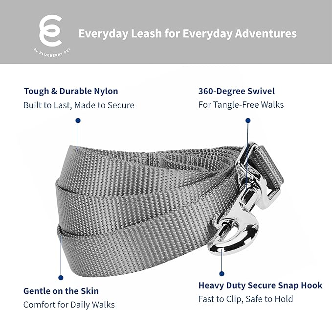 Blueberry Pet Essentials Flint Gray Dog Leash for Medium - 5' * 3/4" Dogs | Heavy Duty Nylon Lead | Lightweight Puppy & Cat Leash for Walking & Training