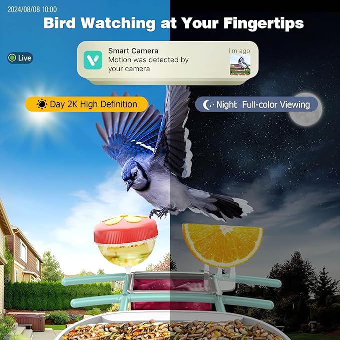 Bird Feeder with Camera: Solar Powered Smart Bird Camera Feeder 2K Live Feed for Backyard - AI Identify Auto Capture Videos, Gifts for Birdlovers Mom Dad, 2.4GHz WiFi