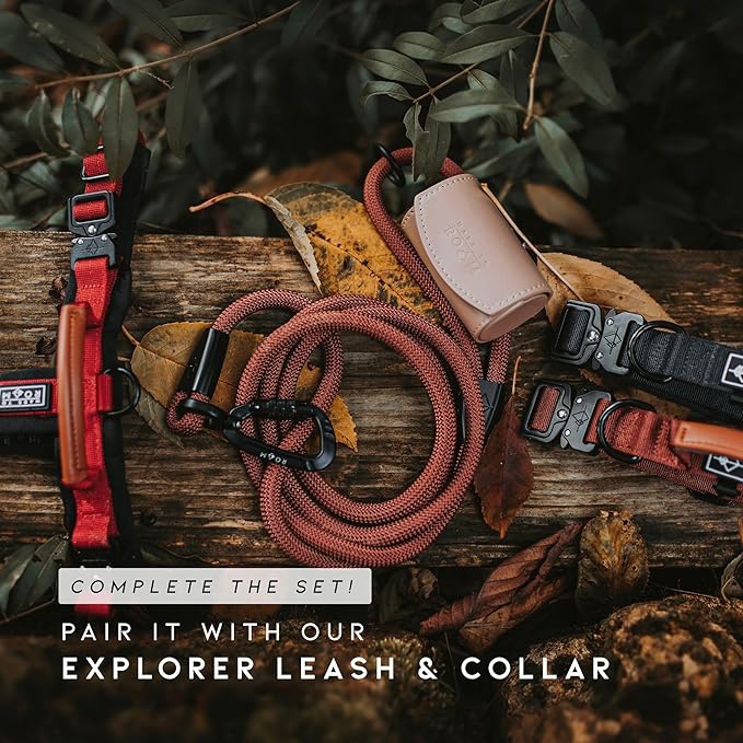 MADE TO ROAM Premium Explorer Harness - Y-Shaped Dog Harness with Adjustable Durable Nylon, Soft Padding, Metal Buckles and Leather Handle for Small, Medium, Large Dogs (Arizona Heartbeat, Size 6)