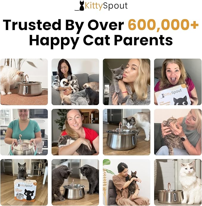 The KittySpout Stainless Steel Wireless Cat Water Fountain, 4L/108oz