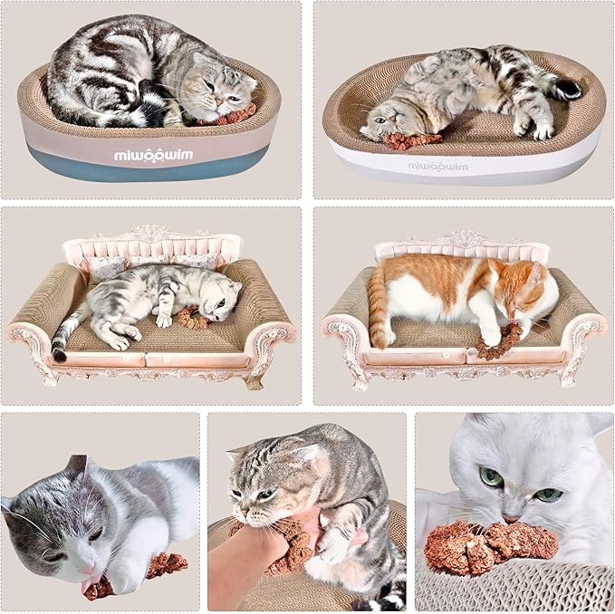 Natural Silvervine Gall Fruit Cat-Attracting Bracelet,Interactive Cat Toy for Indoor Cats,Cat Chew Toy with Gallfruit | Catnip & Silvervine Alternative, Stress Relief & Gift