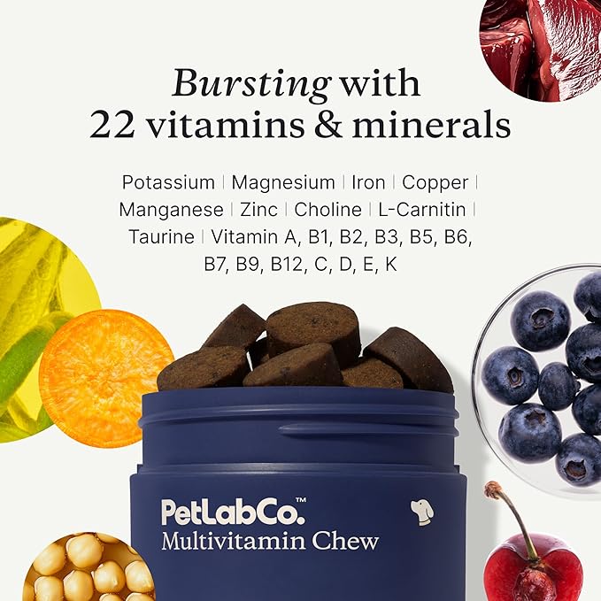 PetLab Co. 22 in 1 Dog Multivitamin - Support Dog's Immune Response, Skin, Coat, Joints & Overall Health - Vitamins A, E, D, B12, Minerals, Antioxidants - Chewable Pork Flavor - Packaging May Vary