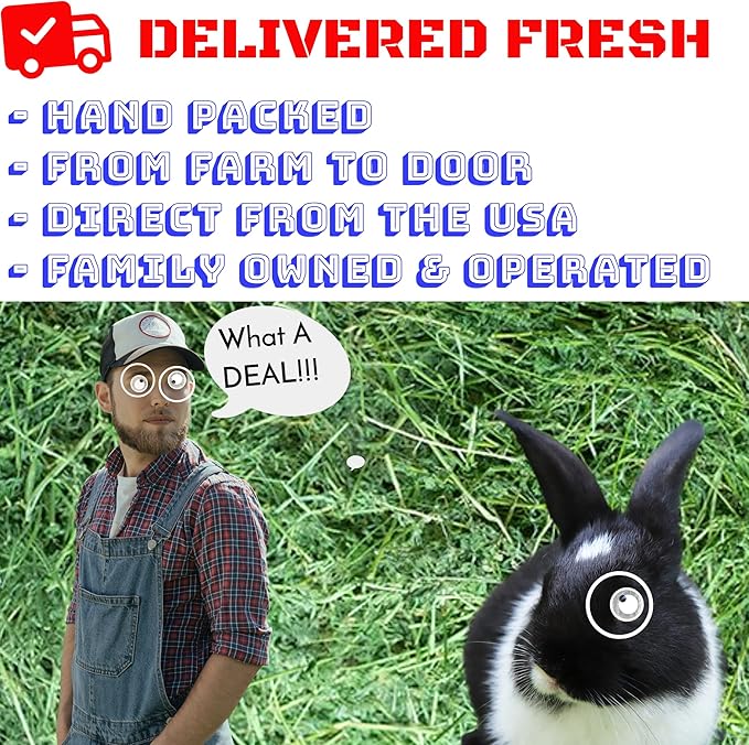 Fresh Alfalfa Hay 40Lbs by Bunny Honey - Natural Hay for Guinea Pigs, Rabbits, Hamsters, Hedgehogs, and More Small Animal Pets - Not Blended, Green Chopped & Delivered Fresh