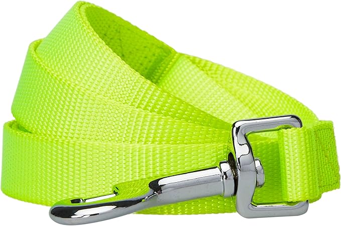 Blueberry Pet Essentials Highlighter Yellow Dog Leash for Large - 4' * 1" Dogs | Heavy Duty Nylon Lead | Lightweight Puppy & Cat Leash for Walking & Training