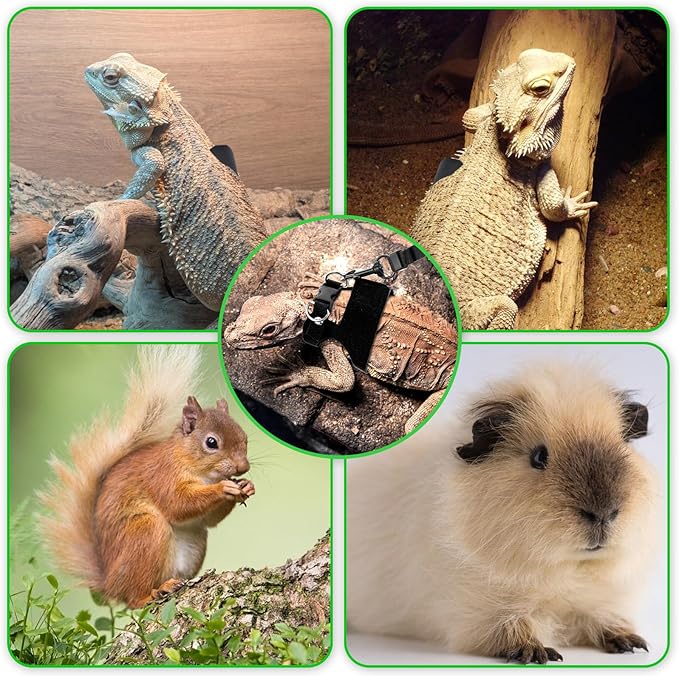 Bearded Dragon Harness Leash 3 Size Adjustable Soft Reptile Leash Retractable Bearded Dragon Vest Training Walking Lizard Traction Rope for Outdoor Small Animal Rabbit Squirrel (Black)