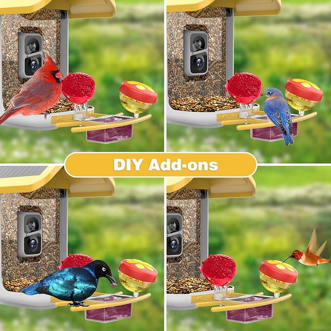 Bird Feeder with Camera: Solar Powered Smart Bird Camera Feeder 2K Live Feed for Backyard - AI Identify Auto Capture Videos, Gifts for Birdlovers Mom Dad, 2.4GHz WiFi