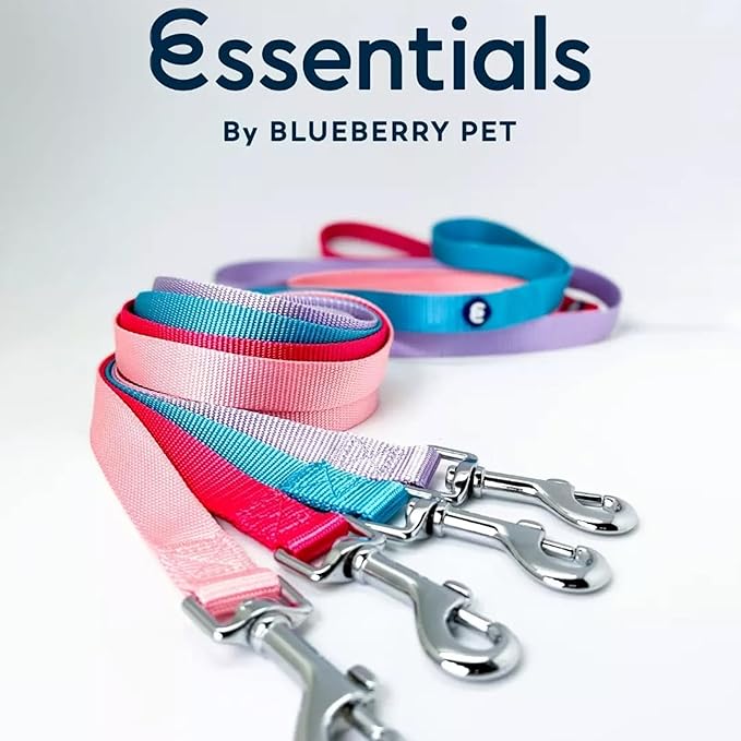 Blueberry Pet Essentials Baby Pink Dog Leash for X-Small -5' * 3/8" Dogs | Heavy Duty Nylon Lead | Lightweight Puppy & Cat Leash for Walking & Training