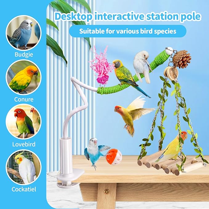 Bird Toys,Free Bending Bird Perch Stand with Climbing Ladder, Desktop Stand for Interacting, Parakeet Playground Play Stand for Lovebirds Conure,Mount for Budgie, Cockatiel, Conure