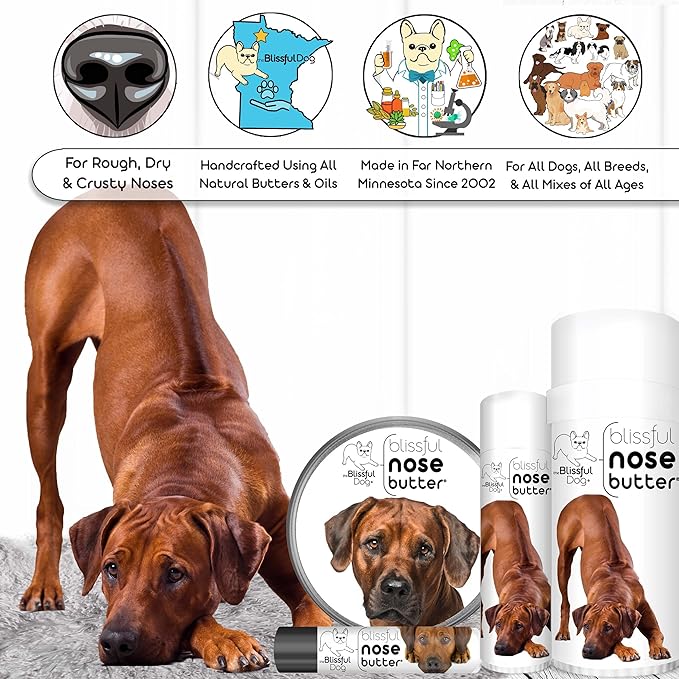 The Blissful Dog Rhodesian Ridgeback Nose Butter for Dry, Cracked Skin, Lick-Safe Dog Nose Balm with Moisturizing Shea Butter, Almond, Olive, and Essential Oils, Pet Supplies, Uncented, 2 oz.