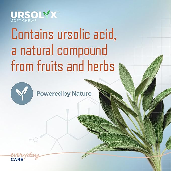 URSOLYX Soft Chews for Dogs | Muscle Health Support for Senior, Active or Recovering Dogs, Medium | 120 Count 4-Month Supply