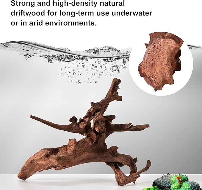majoywoo Natural Small Coral Driftwood for Aquarium Decor Fish Tank Decorations, Assorted Driftwood Branch 4.5-7.5" 5 Pcs, Reptile Decor