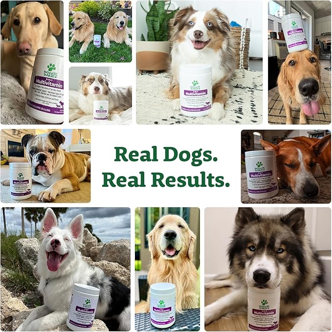 Doggie Dailies 5 in 1 Multivitamin for Dogs, Dog Multivitamin for Skin and Coat Health, Joint Health, Improved Digestion, Antioxidants, Support a Healthy Immune System (Peanut Butter) 225 Soft Chews