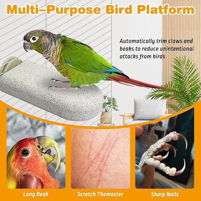PINVNBY 6 PCS Large Bird Cage Perch Natural Parrot Beak Grinding Stone Calcium Parakeet Chew Toy Bird Stand Platform for Cockatiel Conure Lovebird Finch
